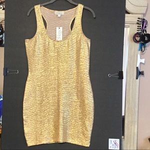 Party Dress NWT